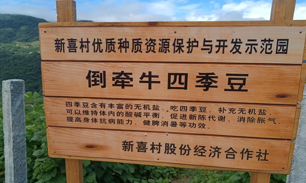 97欧美在线看欧美视频免费