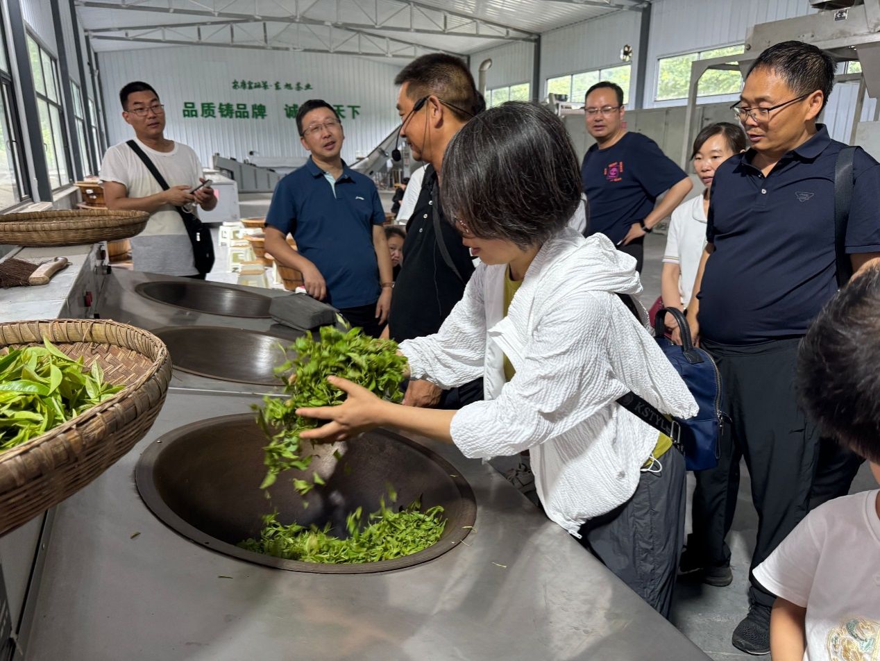 97欧美在线看欧美视频免费