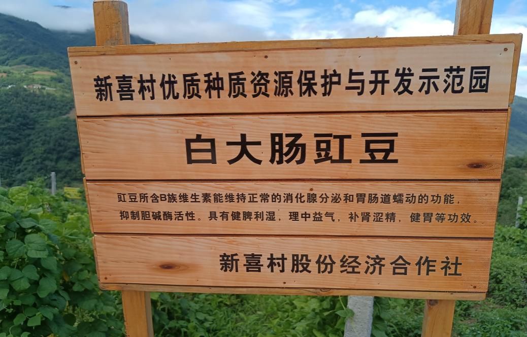 97欧美在线看欧美视频免费