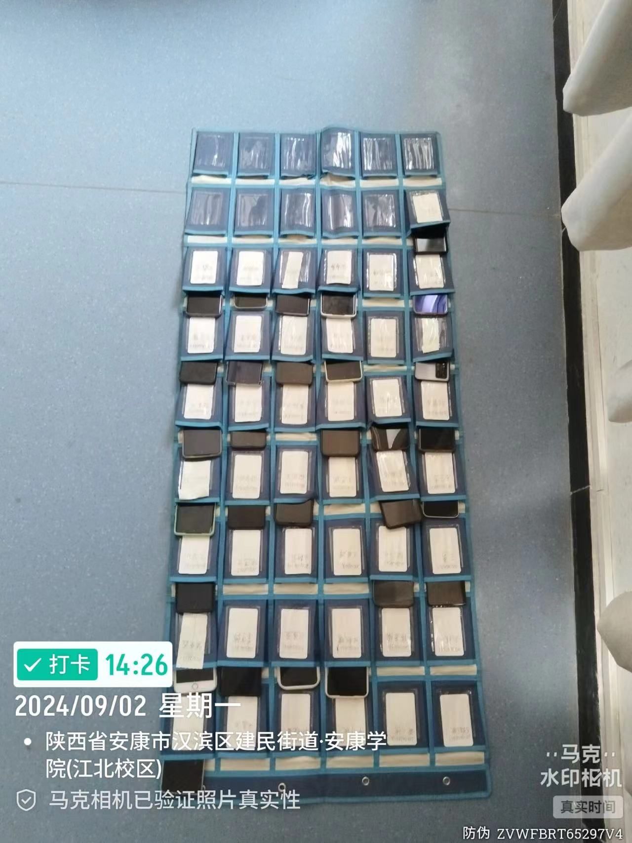 97欧美在线看欧美视频免费