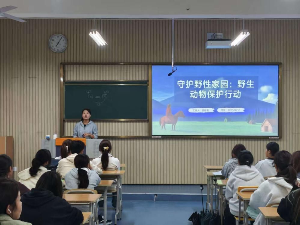 97欧美在线看欧美视频免费